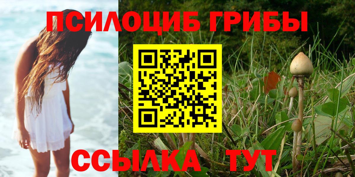 Псилоцибиновые грибы GOLDEN TEACHER Усолье-Сибирское
