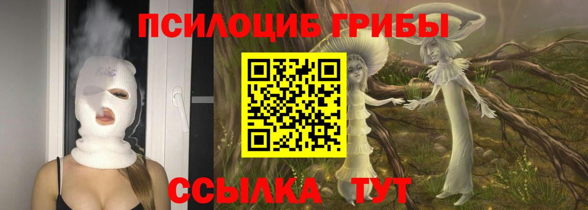 Усолье-Сибирское  Галлюциногенные грибы Psilocybe  Вход с VPN 